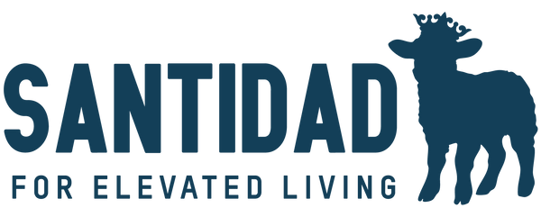 Santidad Clothing